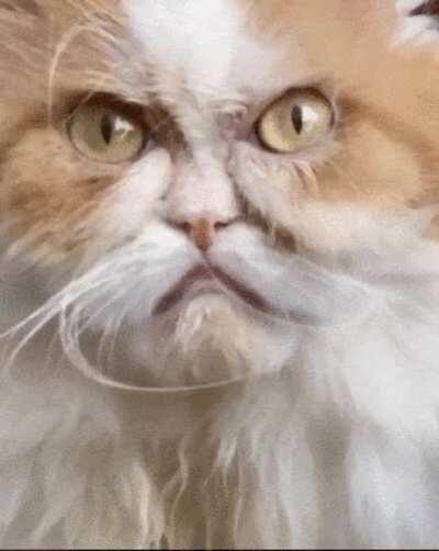 Этот взгляд!