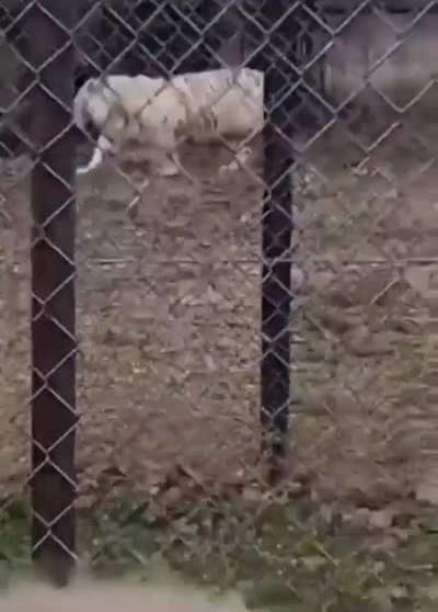 What could possibly go wrong?