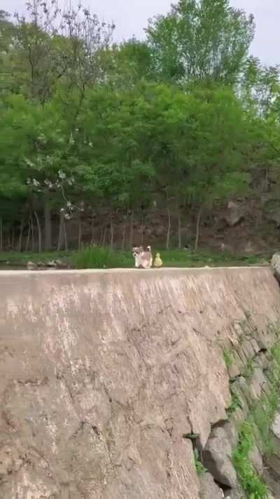 Let's go on an adventure!