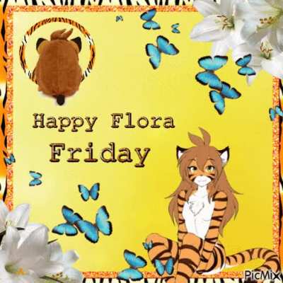 Yes, I stole this gif