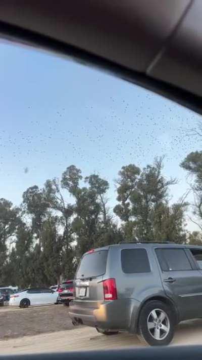 Extremely fast moving disc caught in slow-mo. 10/8/22 - Moorpark, CA.