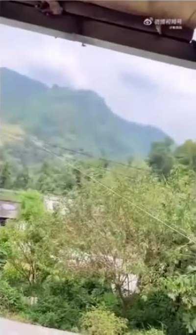 beekeeper hates hornets