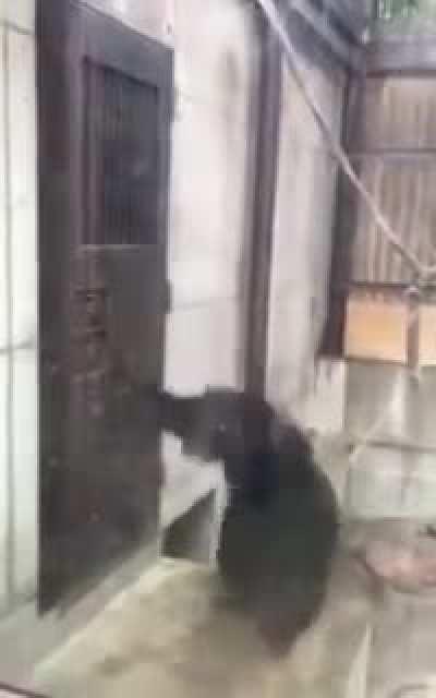 Team grass and water after seeing the final starter evos