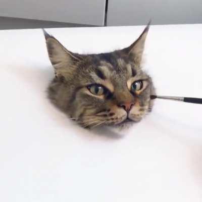 Extremely realistic cat painting!