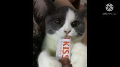 Raum wants eat some souls