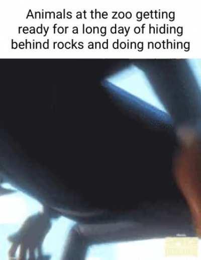 My life be like ooooooaaaaaoooooo