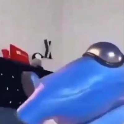 it's been 5 months already