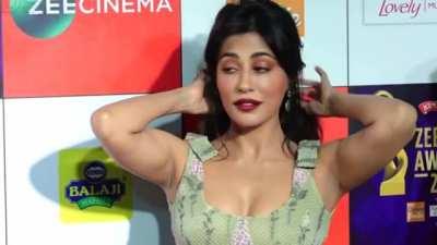 Chitrangda Singh Greatest Armpits Show
