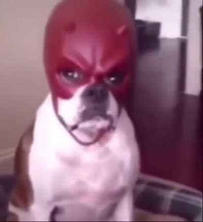 oh can you see into my eyes