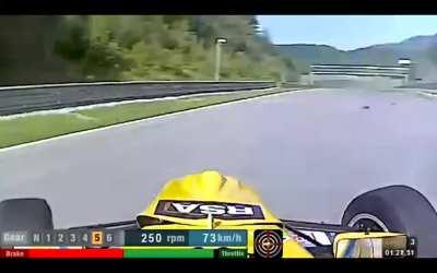 Suicidal deer VS Indy car