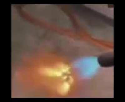 lured into a false sense of security