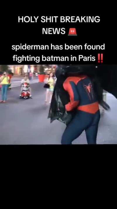 Why Man and Webman are fighting and not saving France? Are they stupid?