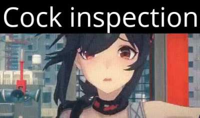 Since roomba is back