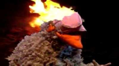 Garchomp besto pokemon 8)