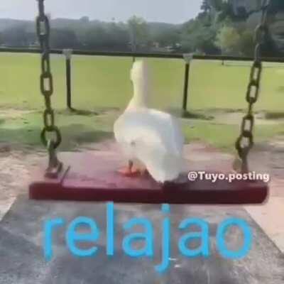 Relajao 😎👌🏽