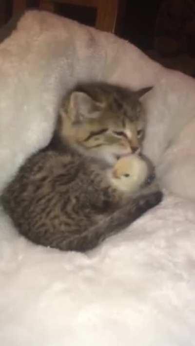 old but this friendship is pure gold