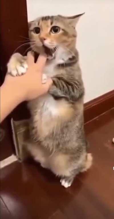 Please don't do that🥺