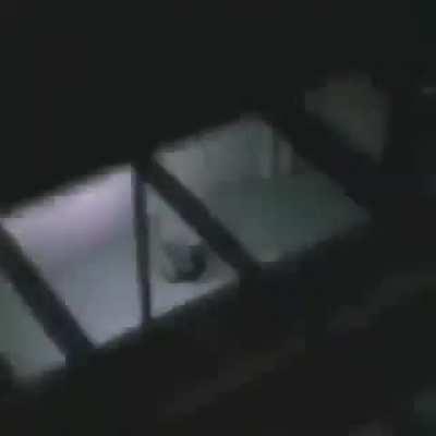 Posting stuff until the sub reaches 2k members DAY 20