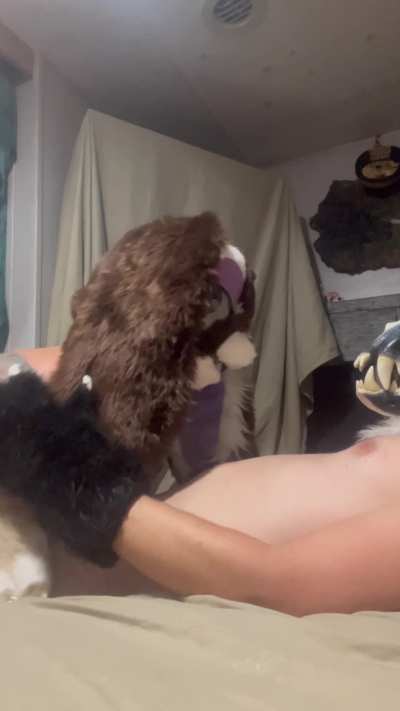 Bunny muzzles are perfect for head