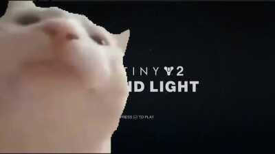 Me when launching up Destiny