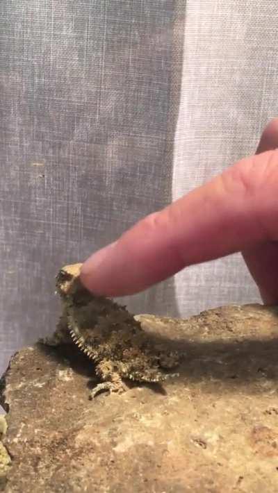 He also knows how to rejoice ... =)