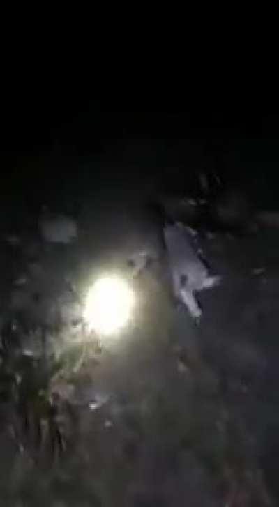 Armadillo taking out a lamb