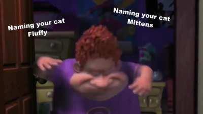 The perfect name for a cat