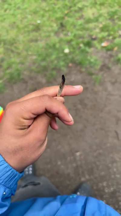 Anybody else ever drop a zoot? 