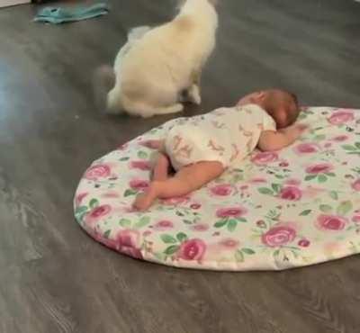 Cat showing off her kitten to a baby