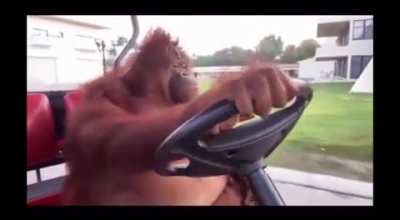 We suffer more often in imagination than in reality