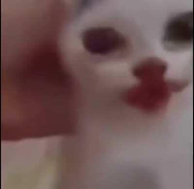 Que a mí me gusta la Pepsi