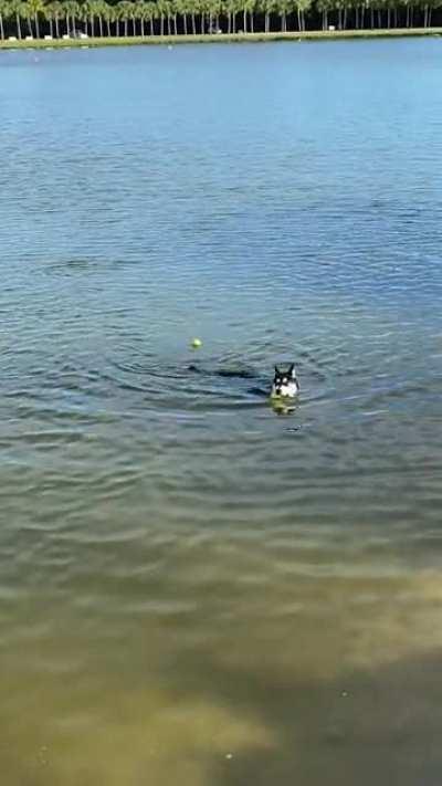 Decisions, decisions...