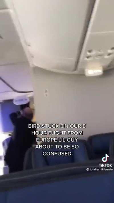 Do y’all think this poses a safety threat?😳