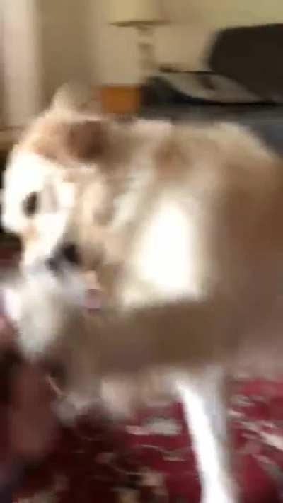 Take the sock, but don’t take the sock.