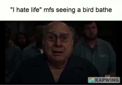 Indomitable bird spirit.