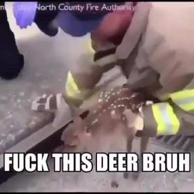 Screw that deer.