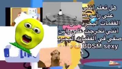 Found on Arabfunny and can’t stop thinking about it