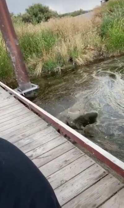 That’s not the ground