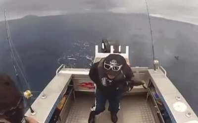 Say hello to my little fish.