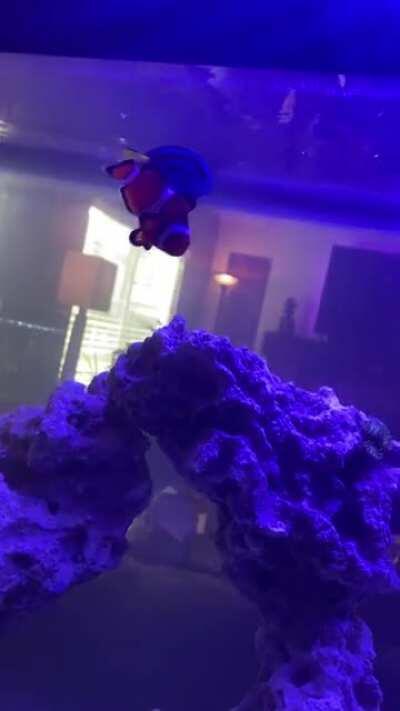 These two never leave each other’s sides