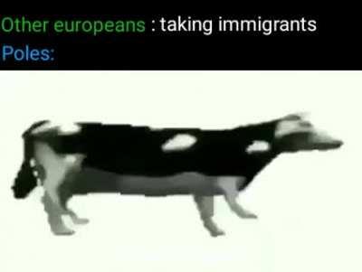 Behold! Colored letters