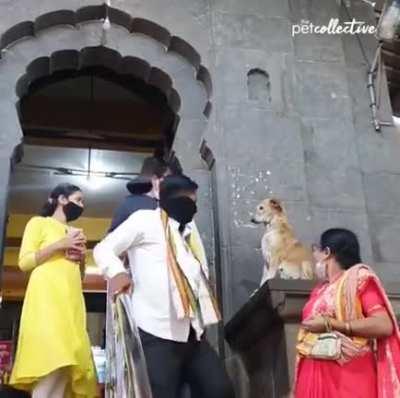 Благословляю