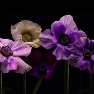 Дорогие девушки! Поздравляю с самым милым праздником весны и красоты! 🤗🌞💐 Желаю любви, здоровья, исполнения самых сокровенных желаний и много-много солнечных и тёплых, наполненных незабываемыми событиями дней!