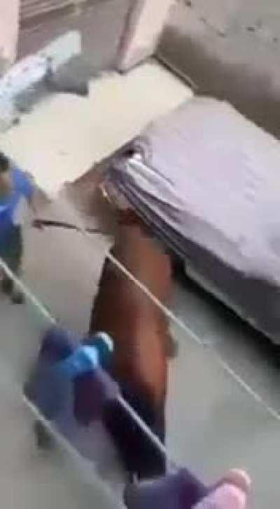 When Cow Wanna Show you their moves 💀