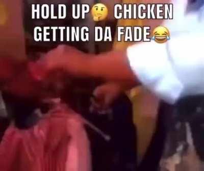 wtf how?!! (chicken how he get fade?!)