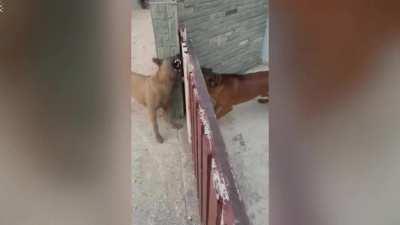 This is getting out of hand