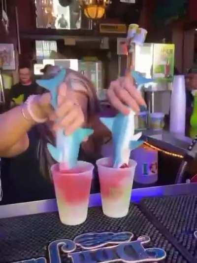 HMB Shark in the tank! Get out of the water!