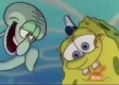 Spongebob gay confirm