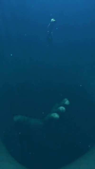 Truly terrifying stuff, I don’t think I can sleep after seeing this