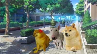 Doge: The Anime